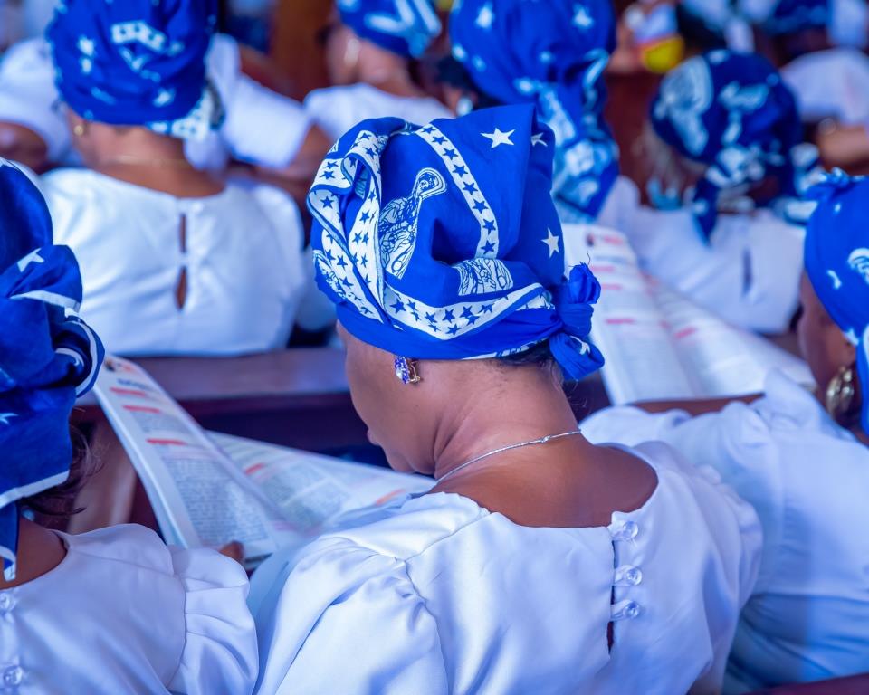 Chioma Uzodimma