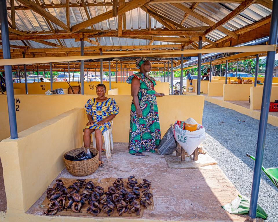 Chioma Uzodimma