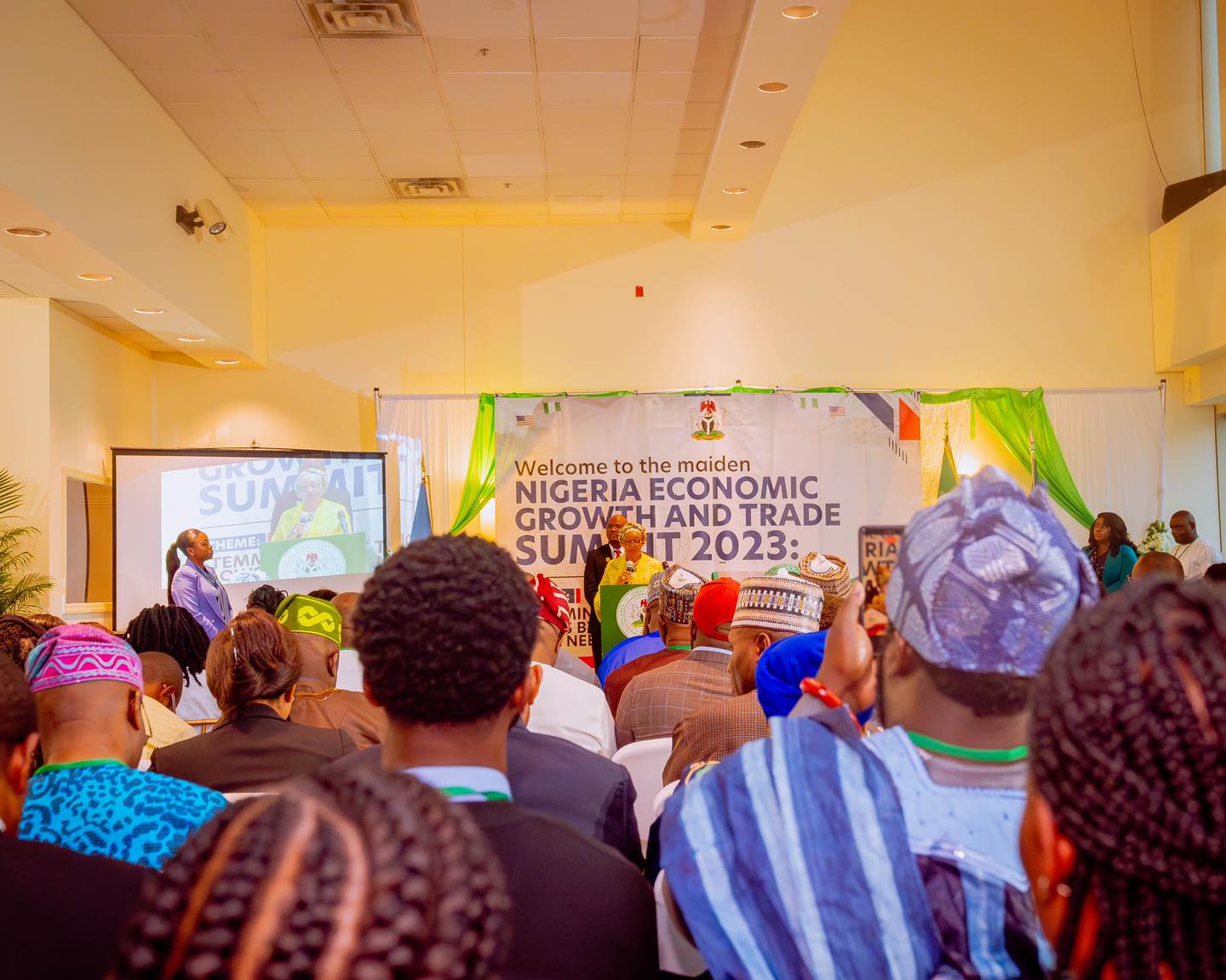 Chioma Uzodimma